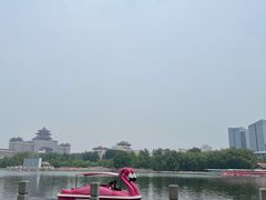 -莲花池公园