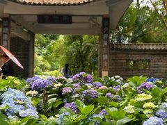 -广西壮族自治区药用植物园