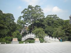 小洲村-小洲村