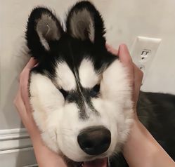 -LJOY丽锦造型·烫发染发