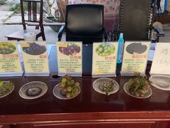 -马陆小张葡萄园农家乐