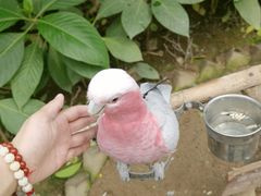 -南宫五洲植物乐园