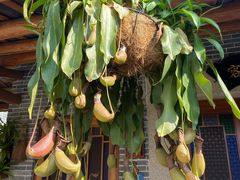 -顺德了能馆(虎门店)