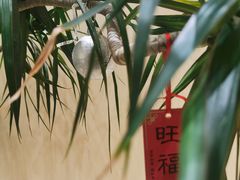 -XI·LaundryCafe 喜咖自助洗衣咖啡店