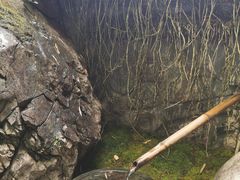 -鱼桥巷·美学川菜