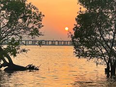 -宝安西湾红树林湿地公园