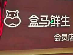 -盒马鲜生(枣园路店)