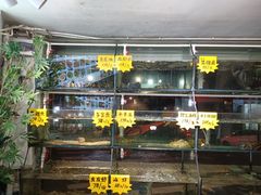 -鑫阿强海鲜大排档·老厦门特色菜(中山路店)