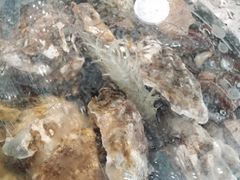 -前王院•巧克力海鲜市集餐厅(万平口店)