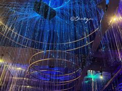 -Darling Queen·Mini·Live·House