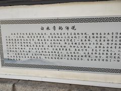 -白水寺森林公园