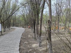 -西青郊野公园