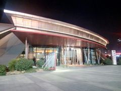 -合肥大剧院