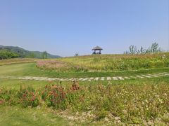 -径山花海