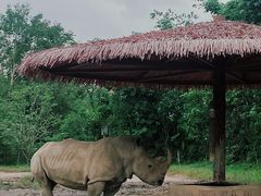 -宁波野生动物园