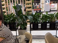 -顺风汤馆·广府粤菜(江宸天街店)
