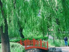 -玲珑塔公园