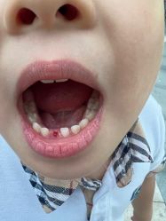 -睿宝儿科·眼科·口腔(杨浦新江湾城店)
