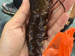 -大东海海鲜酒楼(渔人码头总店)