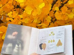 -龙湖杭州滨江天街