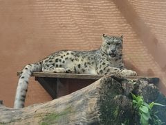 -青藏高原野生动物园