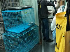 -八公叔叔宠物美容连锁(春申店)