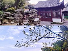 -团城山公园