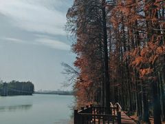-东湖落雁景区