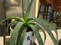 -泉上·发现DISCOVERY ·黔菜餐厅(银海元隆广场店)