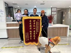 -北京派仕佳德动物医院·超导核磁·CT·神经科·骨科·内外科·急重症管理中心