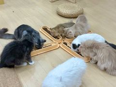-石家庄万象城