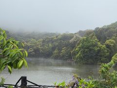 -广州市石门国家森林公园