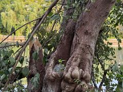 -杭州城北体育公园