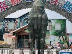 -北京鹿世界主题园