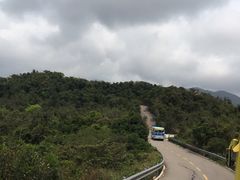 亚龙湾人间天堂-鸟巢度假村-三亚亚龙湾人间天堂鸟巢度假村