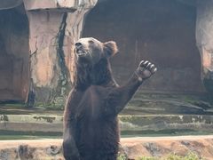 -海南热带野生动植物园