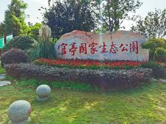 -官亭林海