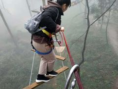 -梦幻奥陶纪景区