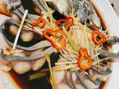 清蒸稀鳞鲑-煲来饱去冷水鱼