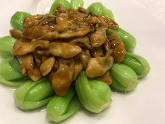 -梅龙镇酒家(南京西路总店)