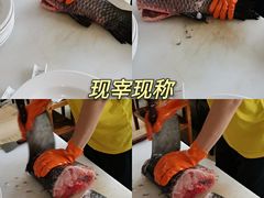 -老刘生态大鱼坊铁锅炖鱼(赛马场店)