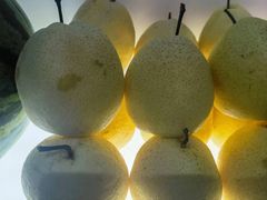 -巴奴毛肚火锅(相州店)