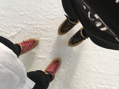 -世界之窗阿尔卑斯冰雪世界