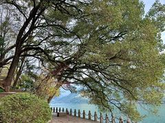 -严子陵钓台(富春江小三峡)