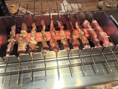 -邢氏老太太烤串(北兴街店)