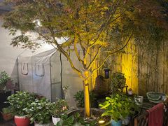 -阿莉餐厅(枣阳路店)