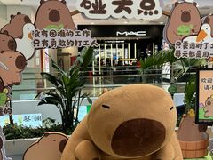 -凯德MALL(西直门店)