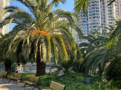 -苏州河梦清园环保主题公园