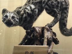 -陕西自然博物馆