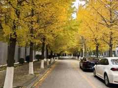-东北大学(南湖校区)